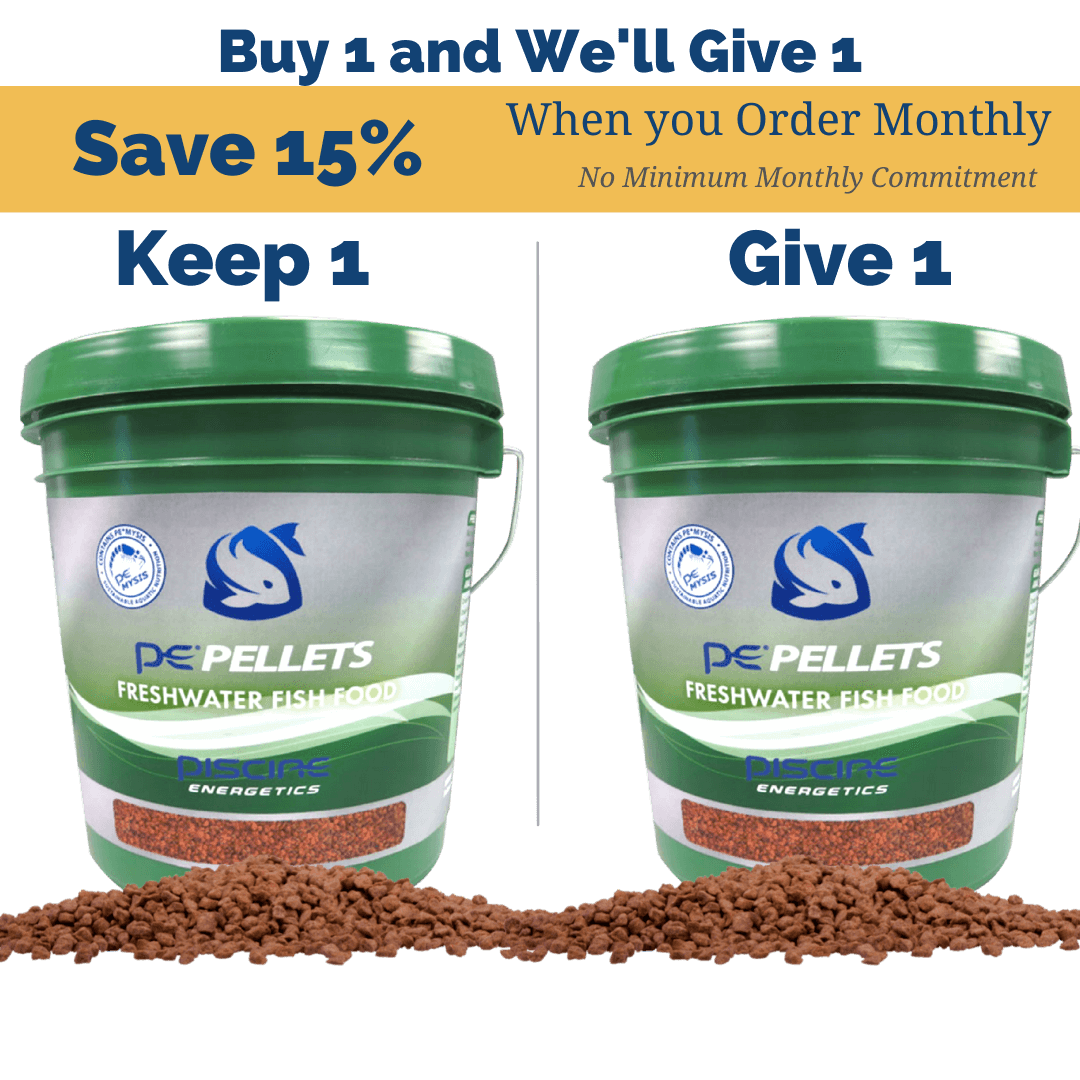 Freshwater fish hotsell food pellets